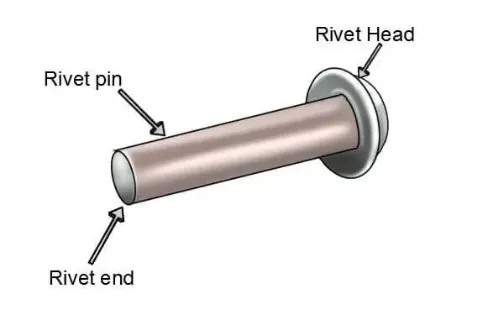 Parts of a rivet, including rivet head, rivet pin, and rivet end, on a white background